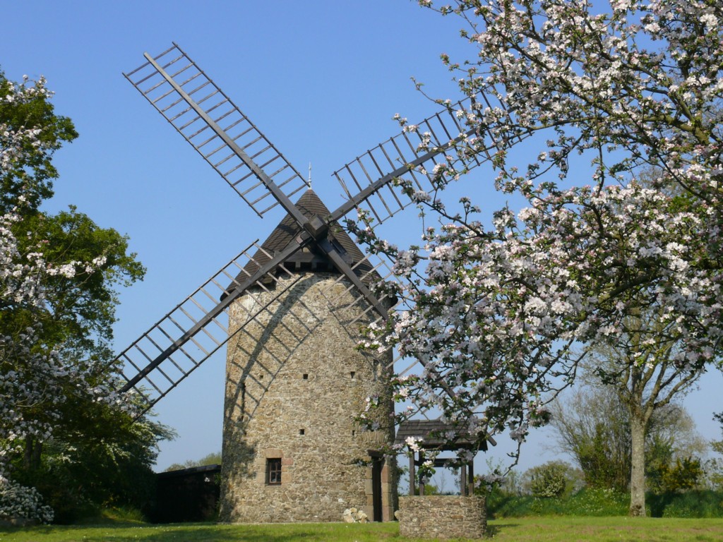 Moulin et Pommiers en fleurs