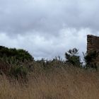 Moulin Pointe de Minard 