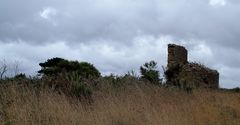 Moulin Pointe de Minard 