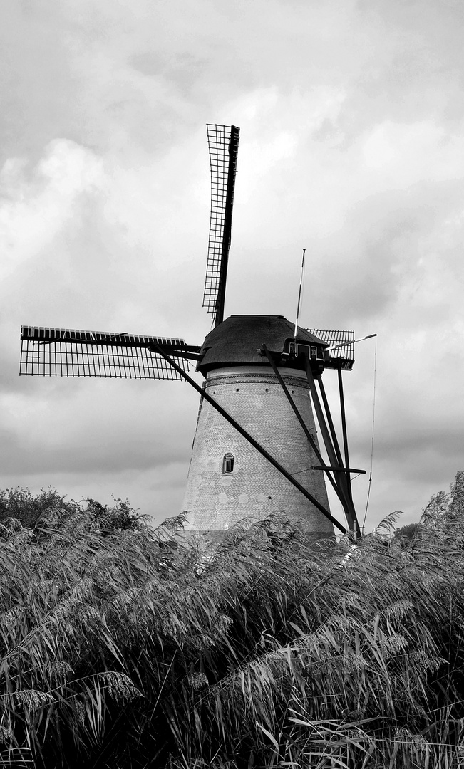 Moulins de kinderdijk