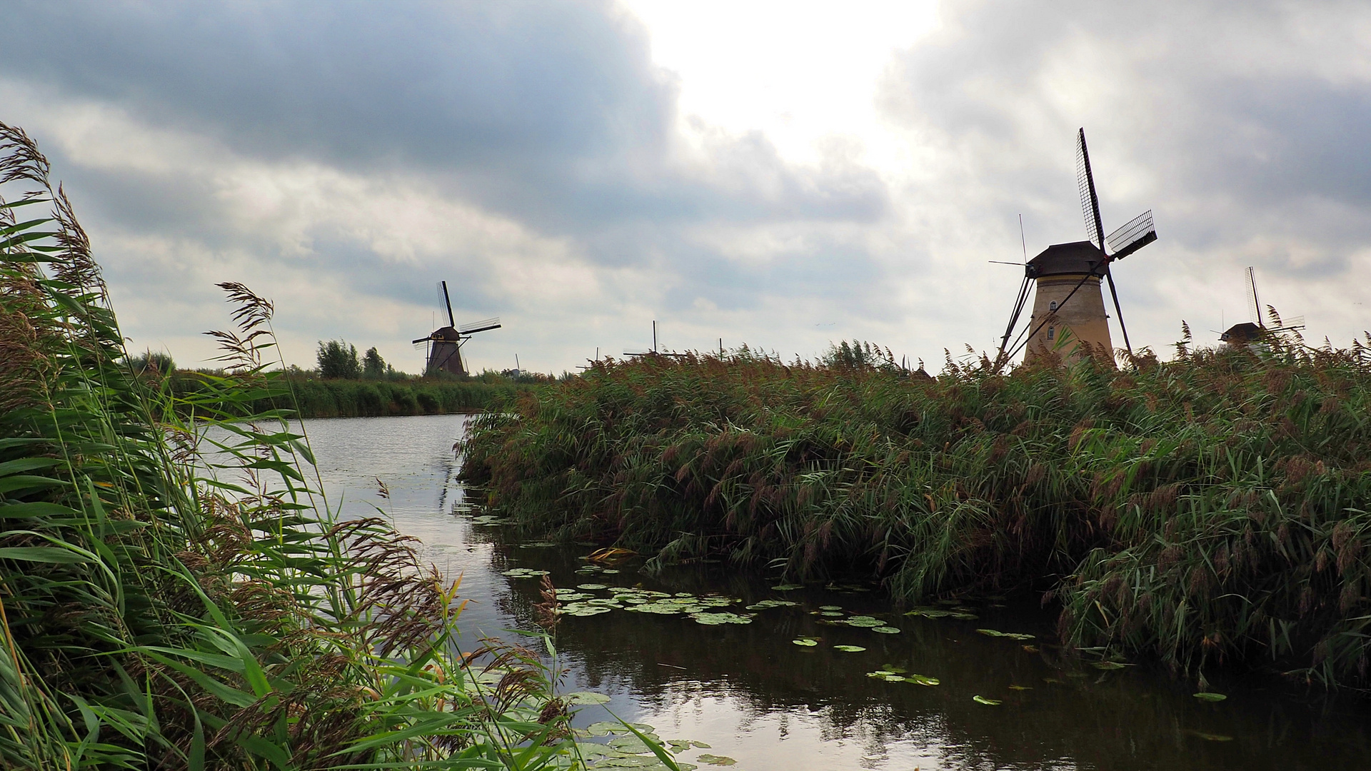 Moulins de Kinderdijk