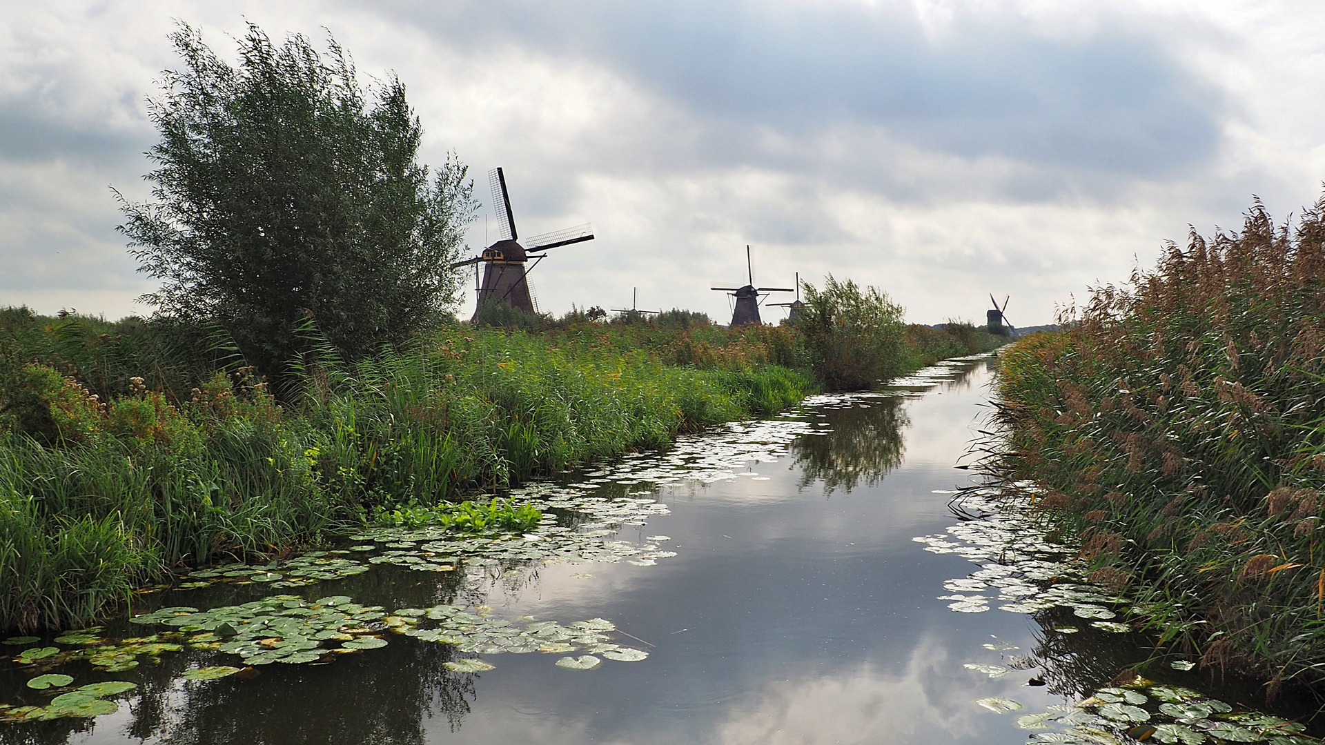 Moulins de Kinderdijk