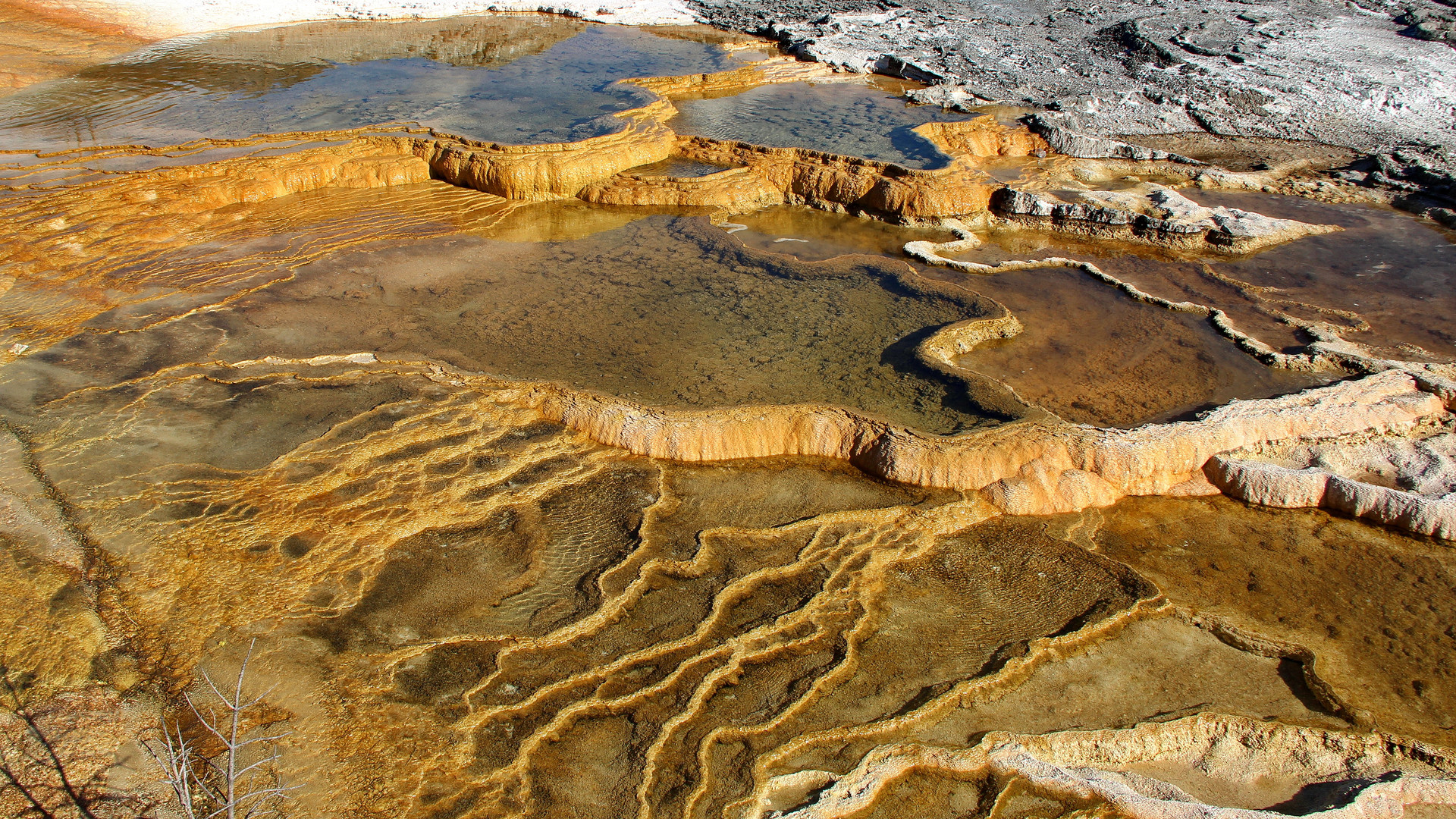 Mound Spring 