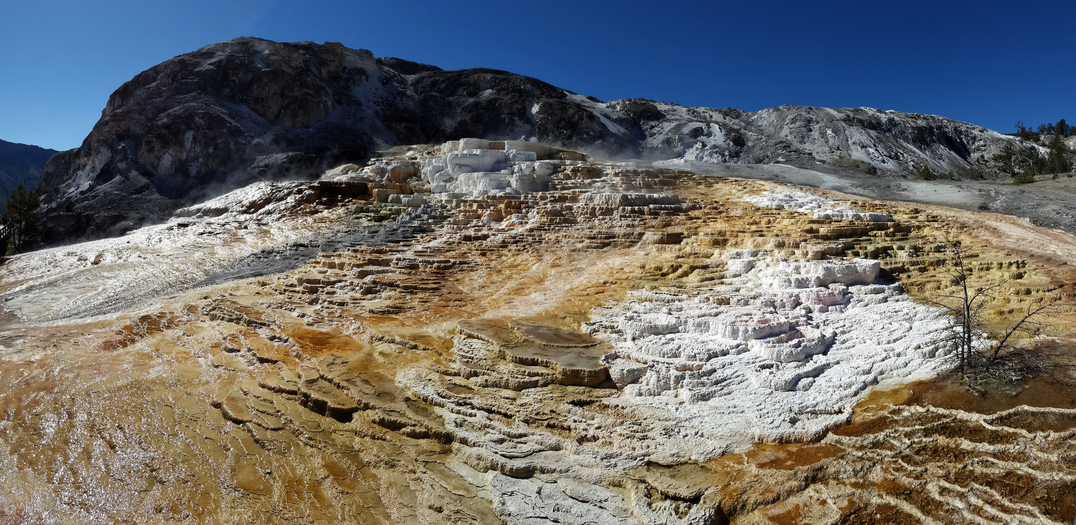 Mound Spring - Mammoth Hot Springs