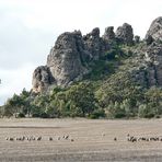 ** Mount Arapiles / Rock Climbing Heaven **