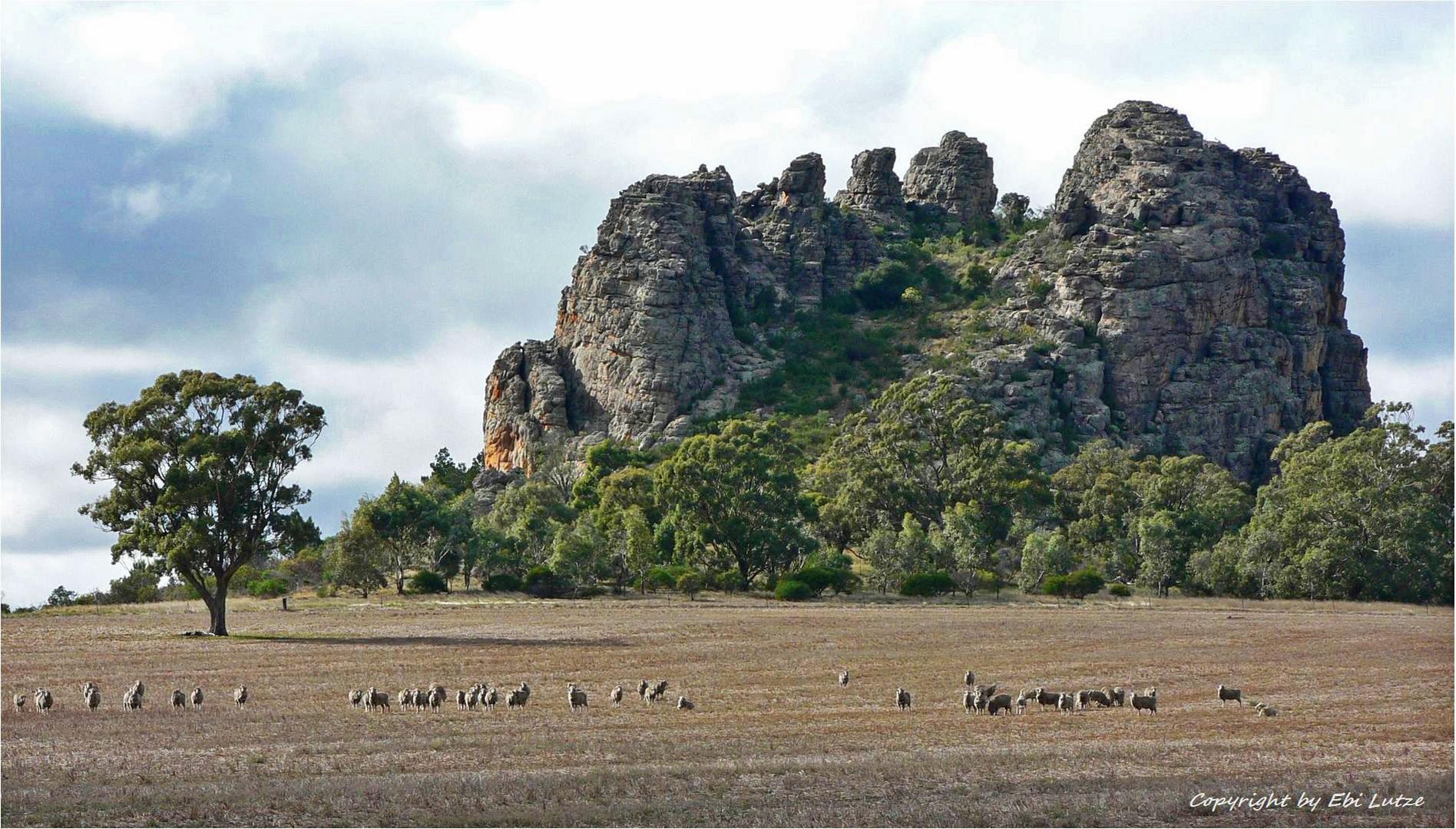 * Mount Arapiles / Vic. *