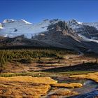 Mount Athabasca & Mount Andromeda