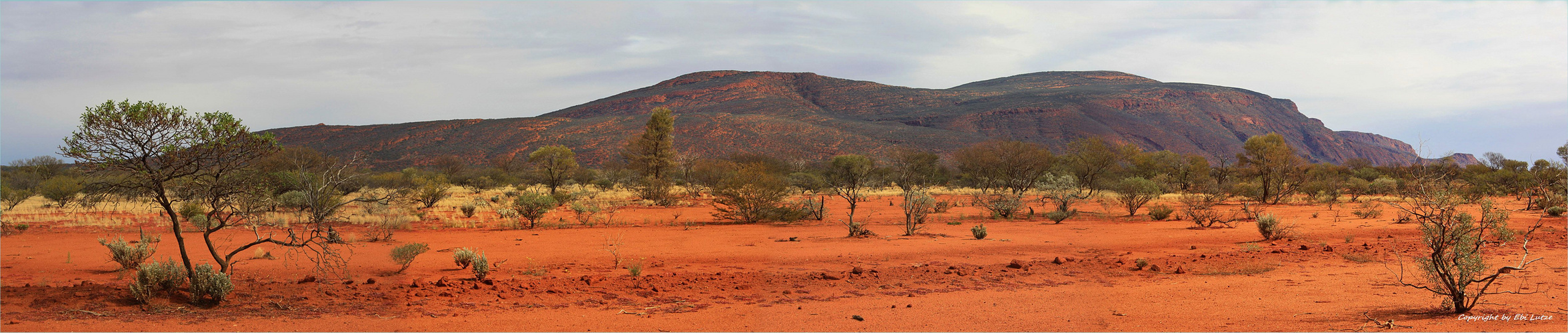 *Mount Augustus / the biggest rock in the World * Foto & Bild