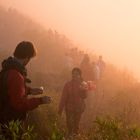 ...Mount Batur [ III ]