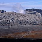 Mount Bromo 