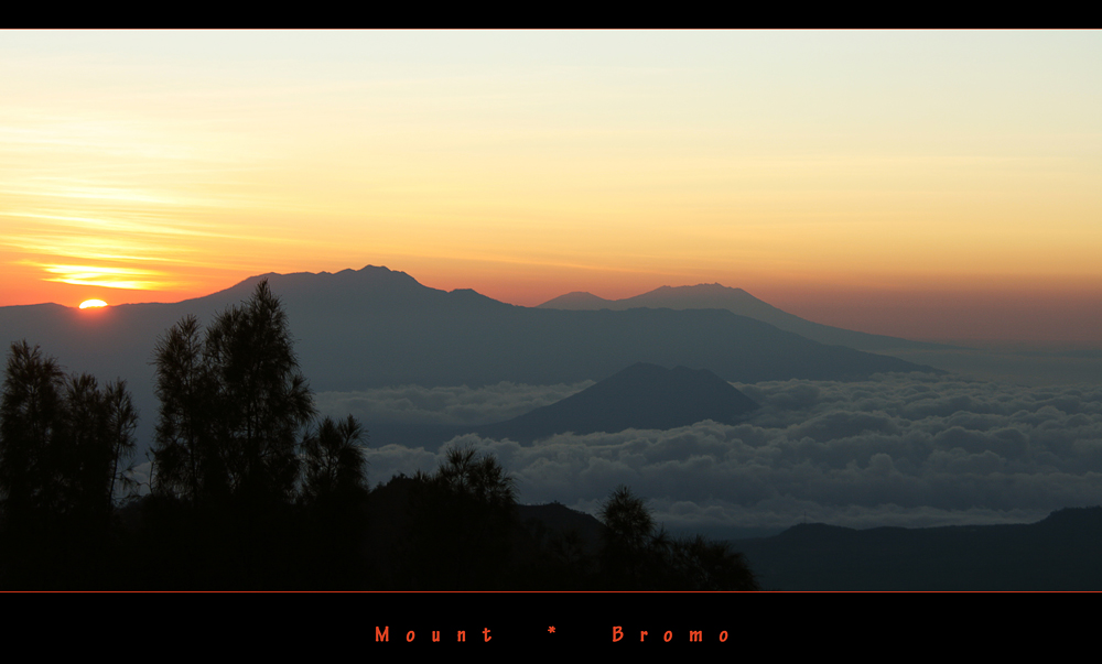 Mount Bromo *