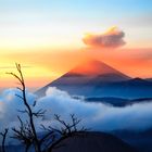 Mount Bromo auf Java