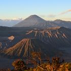 Mount Bromo