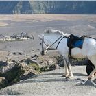 - mount bromo#2-