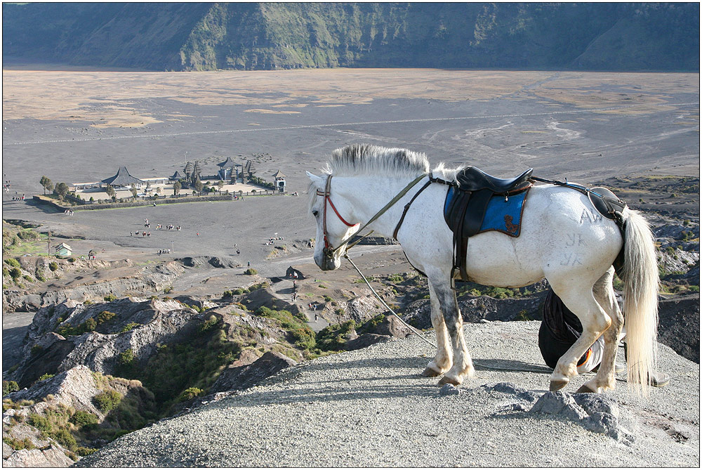 - mount bromo#2-