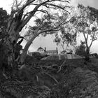 Mount Buffalo Chalet