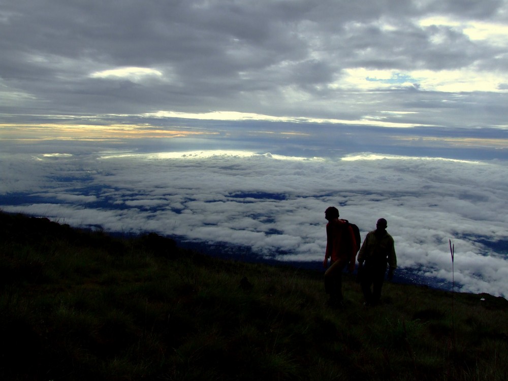 Mount Cameroon