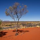 Mount Conner Lookout (Australia)