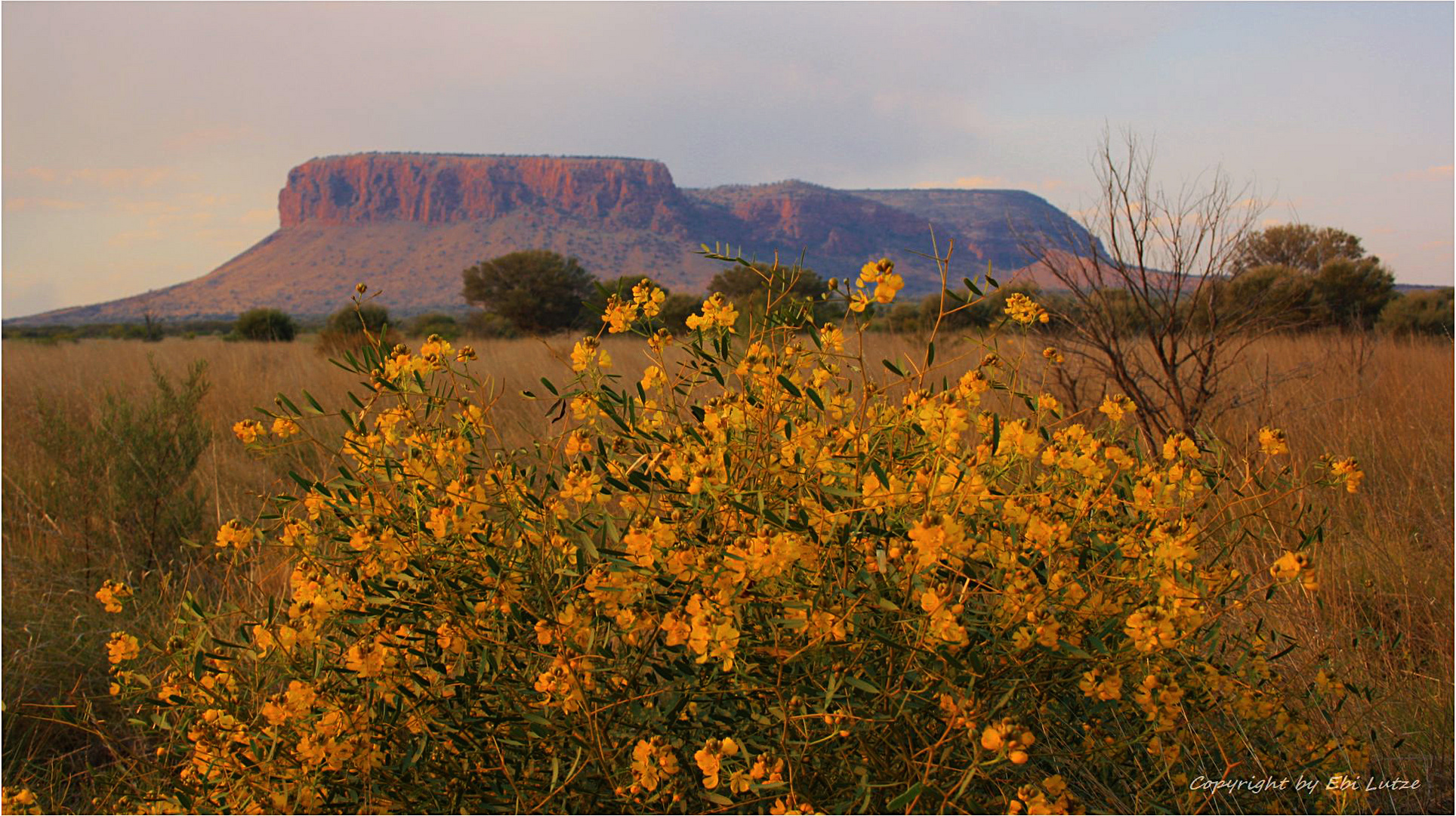 * Mount Connor / or the Fool-Uru * 