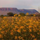 * Mount Connor / or the Fool-Uru * 