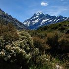 Mount Cook