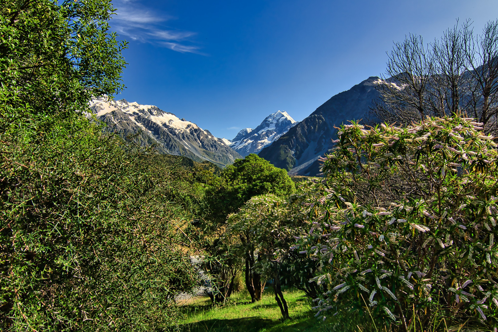 Mount Cook