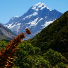 Mount Cook 