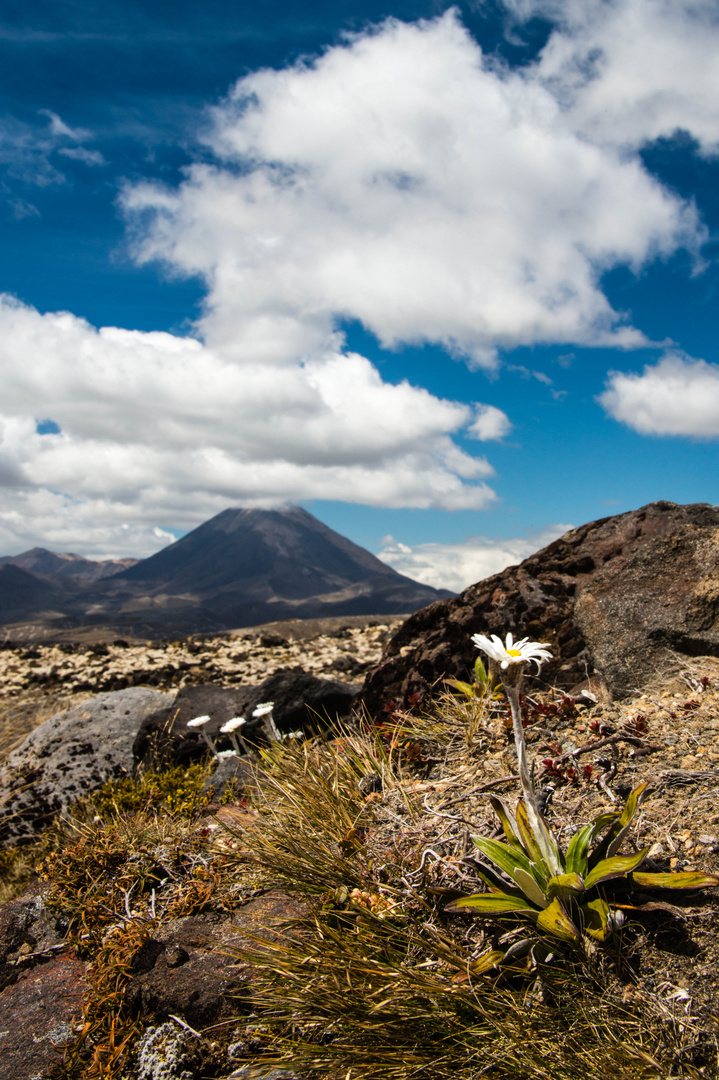 Mount Doom