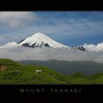 Mount Egmont oder Mount Taranaki