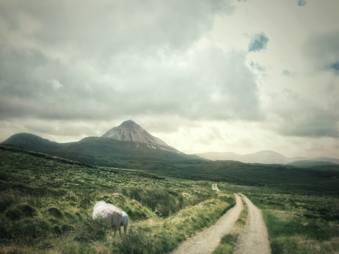 mount errigal