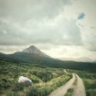 mount errigal