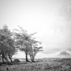 mount errigal