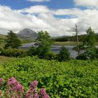 Mount Errigal