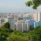 Mount Faber View