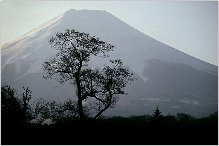 Mount Fuji