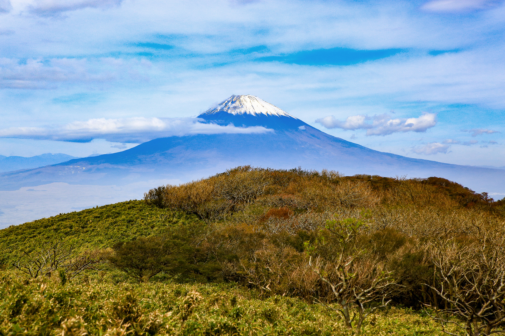 Mount Fuji