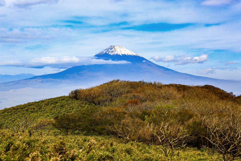 Mount Fuji