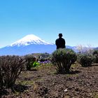 Mount Fuji (Fuji-san) mit einem glücklichen Mann.