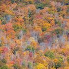 Mount Greylock