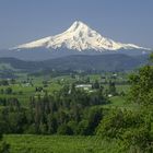 Mount Hood