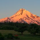 Mount Hood im Morgenlicht