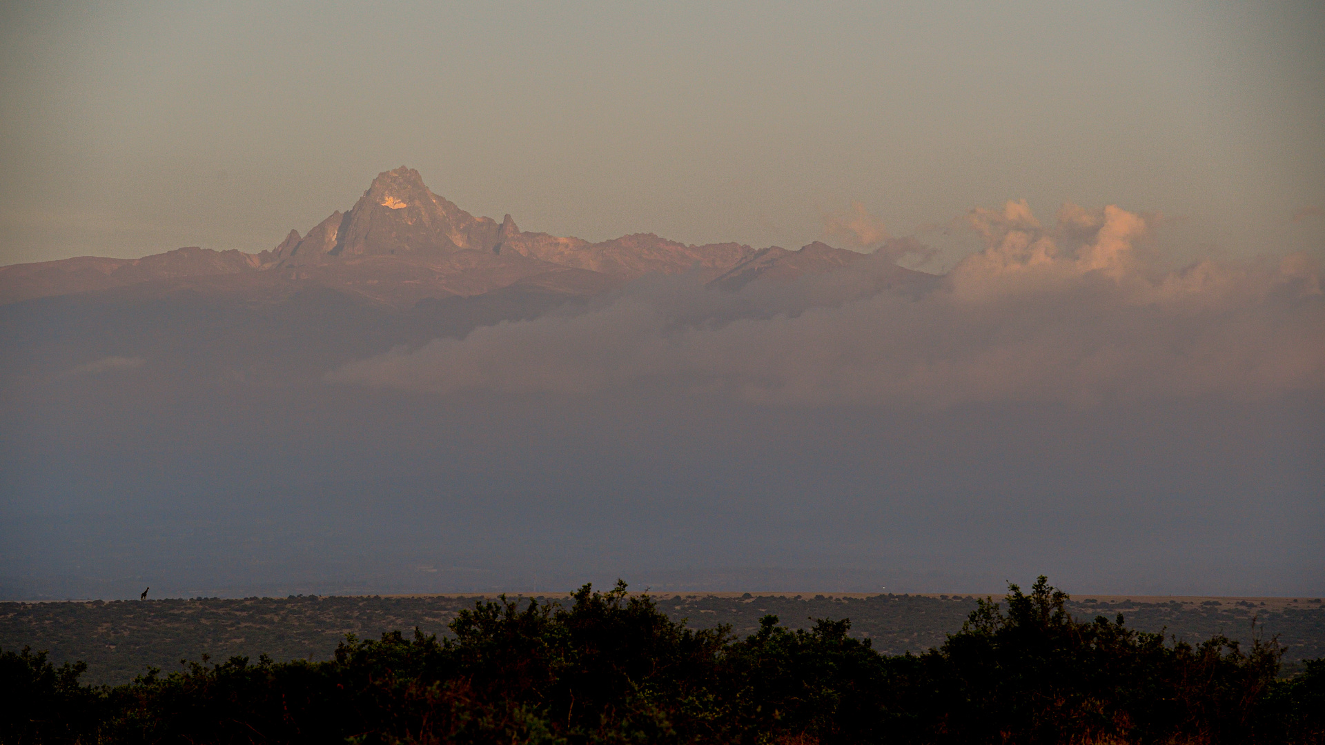 Mount Kenya