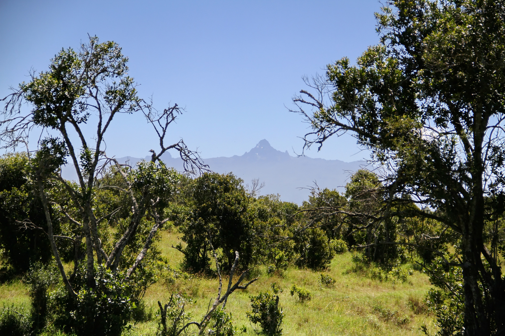 Mount-Kenya-Massiv