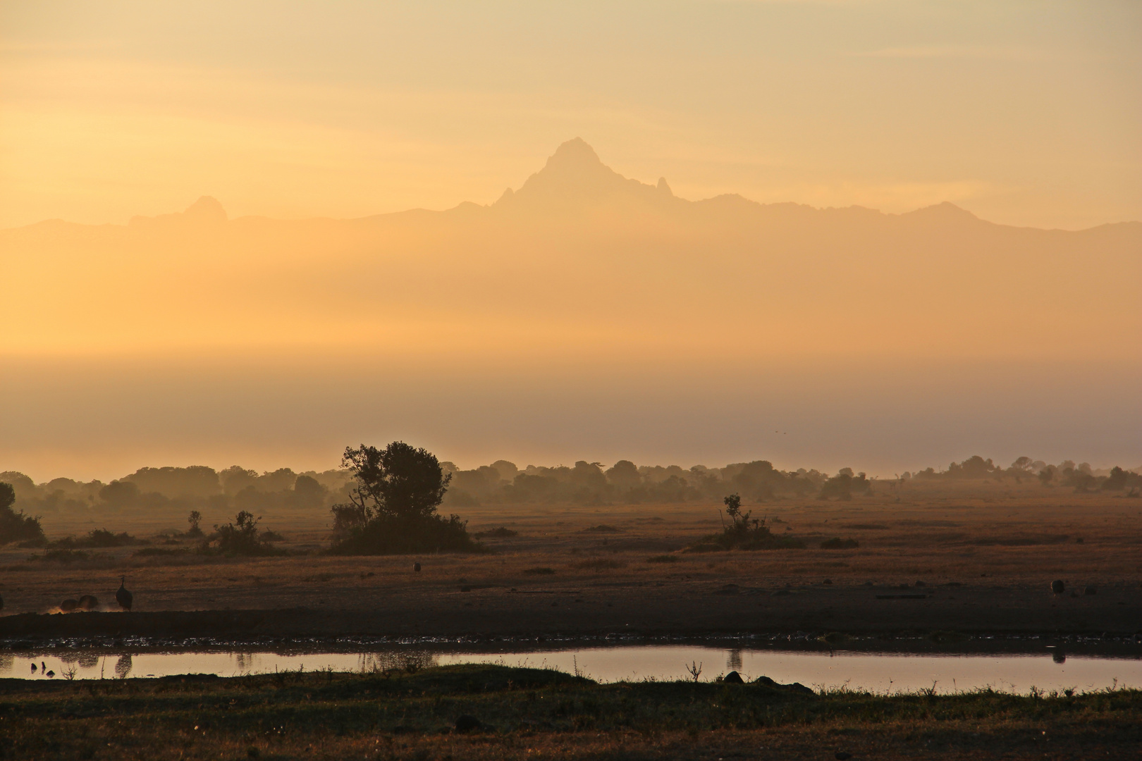 Mount Kenya Massiv ganz früh am Morgen.