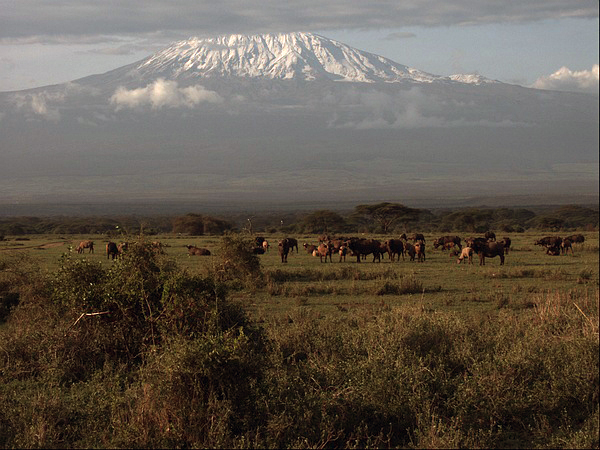 Mount Kilimanjaro