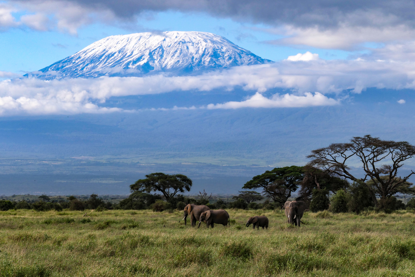 Mount Kilimanjaro