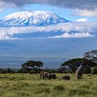 Mount Kilimanjaro