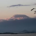 Mount Kilimanjaro vom Lake Jipe aus Tsavo West