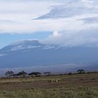 Mount Kiliminjaro Tanzania