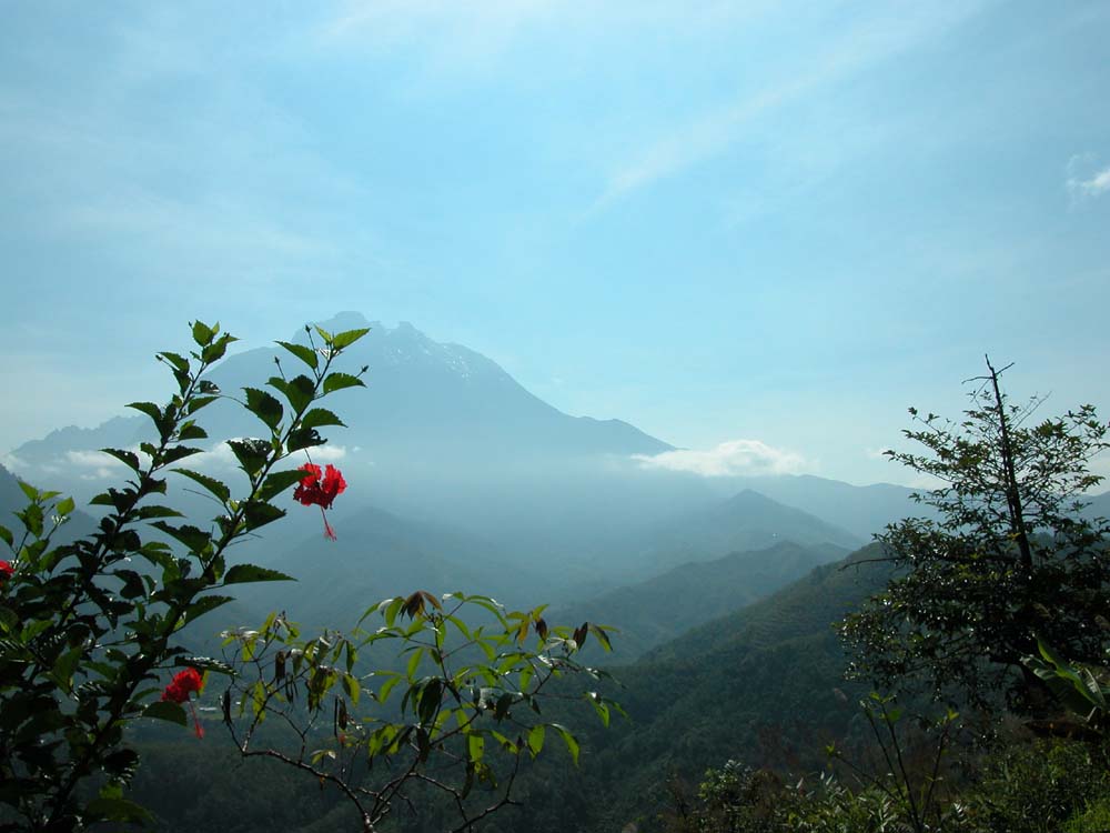 Mount Kinabalu im Morgendunst